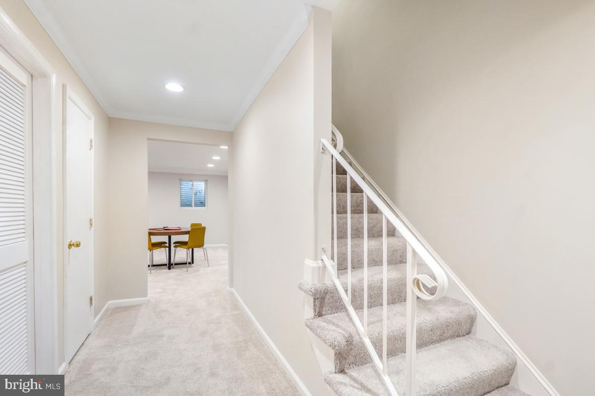8345 Forrester Boulevard Springfield, VA 22152 - Photo 23 of 30 Lower level stairway and hallway with carpet