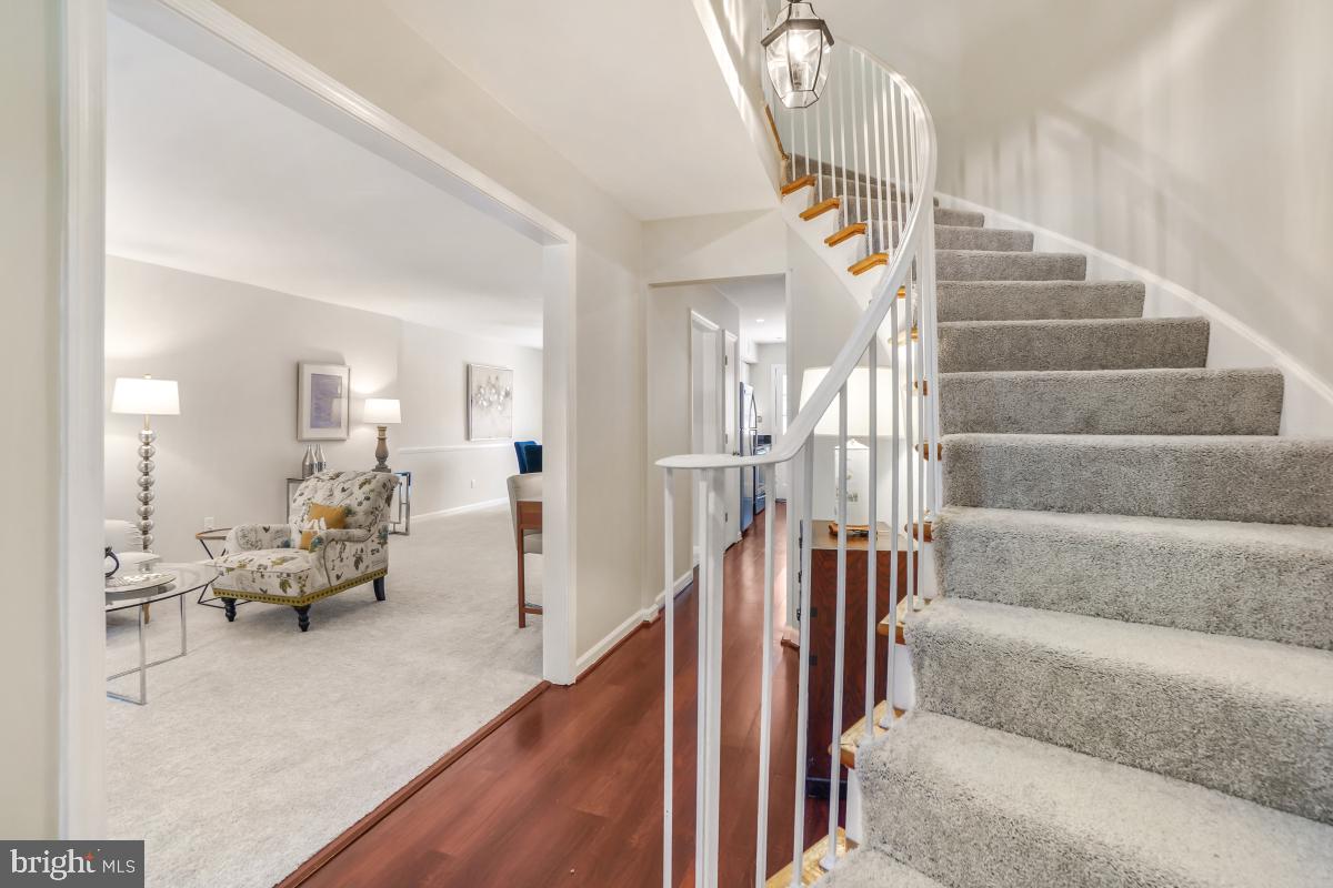 8345 Forrester Boulevard Springfield, VA 22152 - Photo 3 of 30 Welcoming foyer with curved carpeted staircase