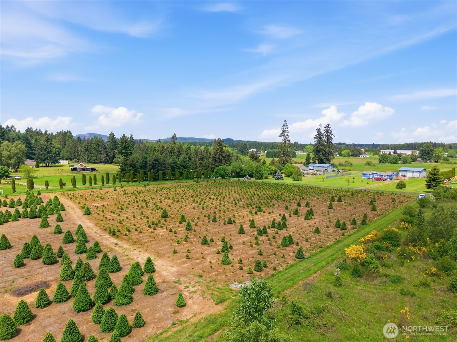2 Shiloh Road Winlock, WA 98596 - Photo 4 of 16 a view of a golf course with a lake