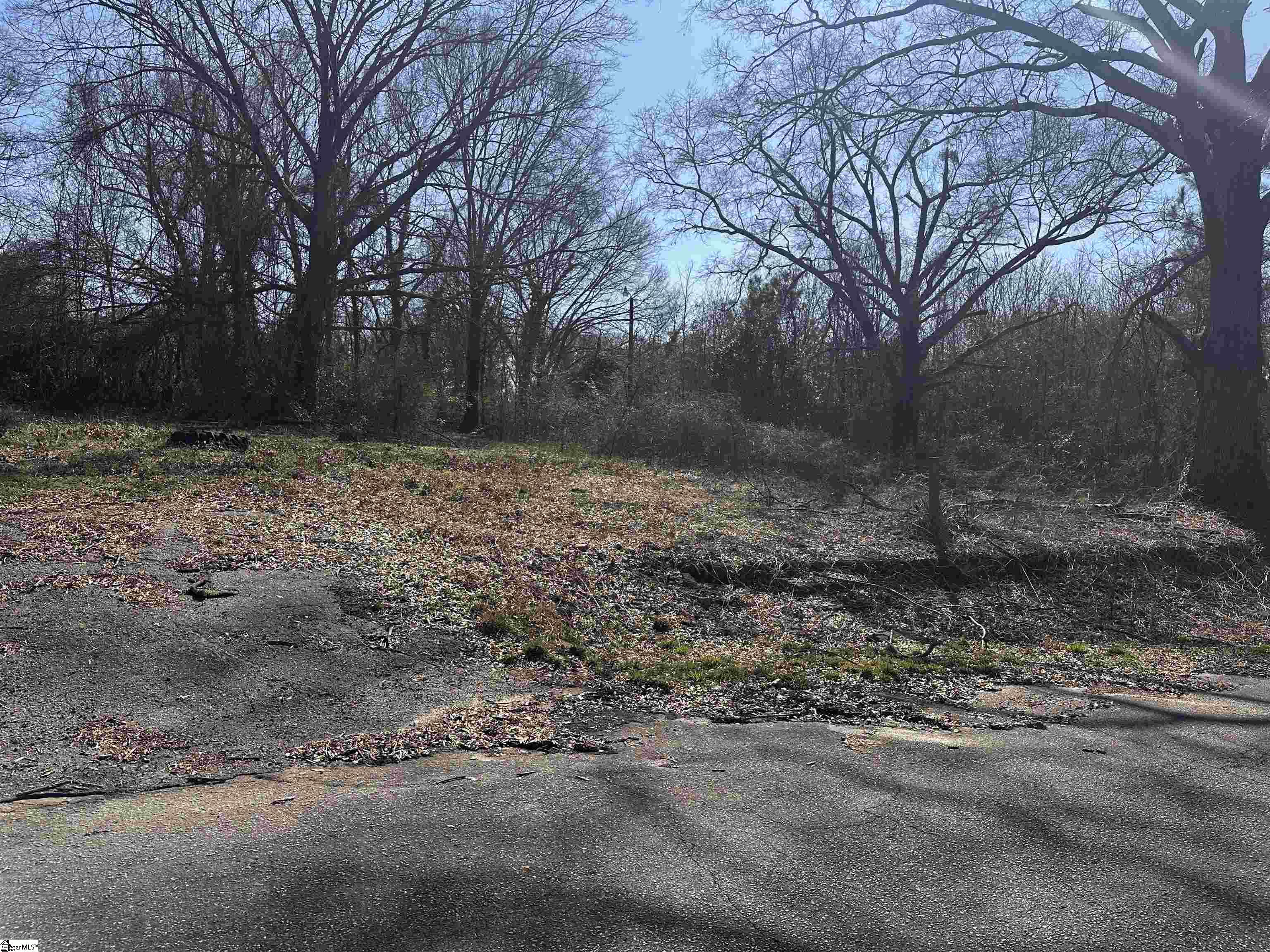 Lot 14 Wenzick Anderson, SC 29625 - Photo 1 of 6