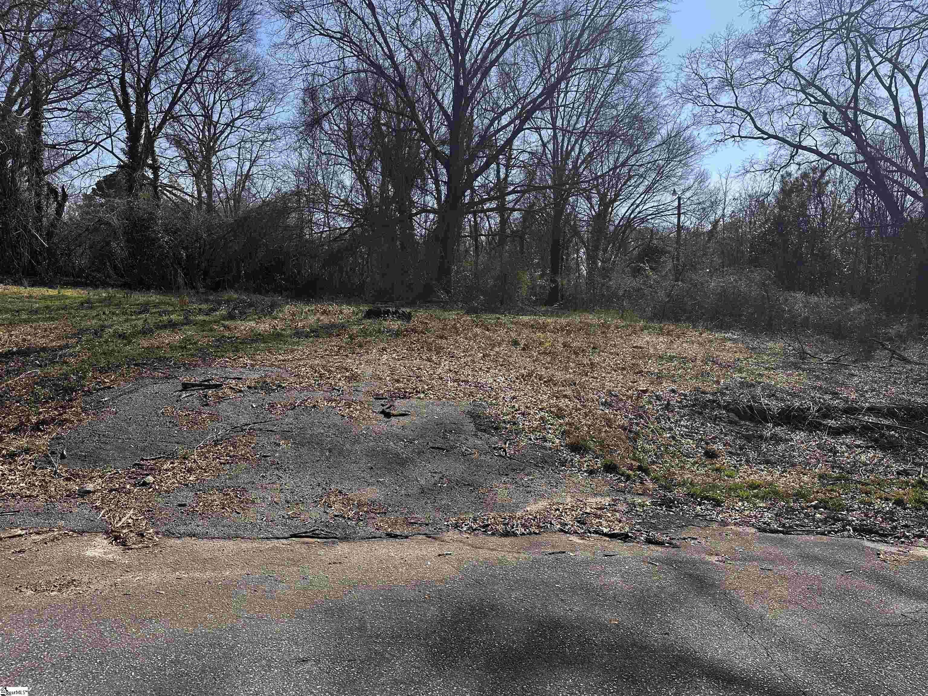 Lot 14 Wenzick Anderson, SC 29625 - Photo 2 of 6