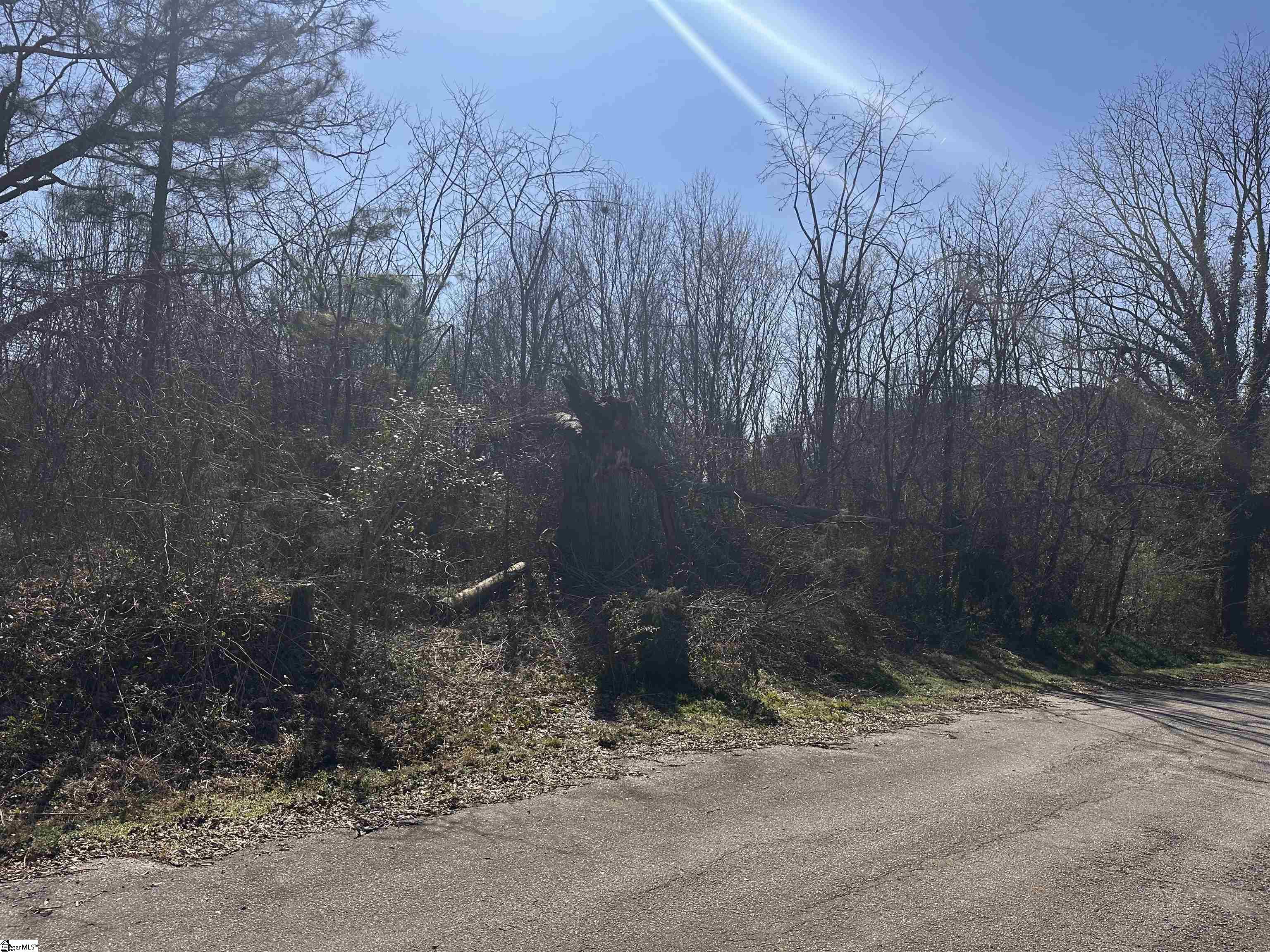 Lot 14 Wenzick Anderson, SC 29625 - Photo 3 of 6