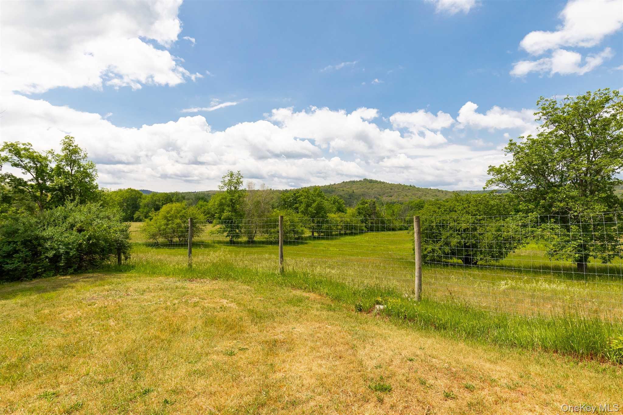1598 Jackson Corners Road Red Hook, NY 12571 - Photo 33 of 36 a view of yard with swimming pool and green space