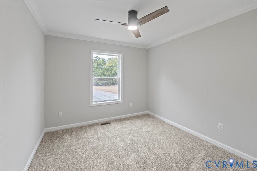 46 Union Church Road Palmyra, VA 22963 - Photo 16 of 50 Empty room with crown molding, carpet flooring, an