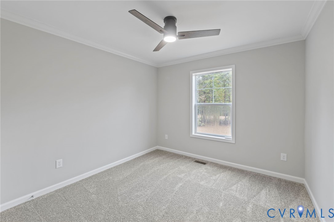 46 Union Church Road Palmyra, VA 22963 - Photo 17 of 50 Carpeted empty room with ornamental molding and a