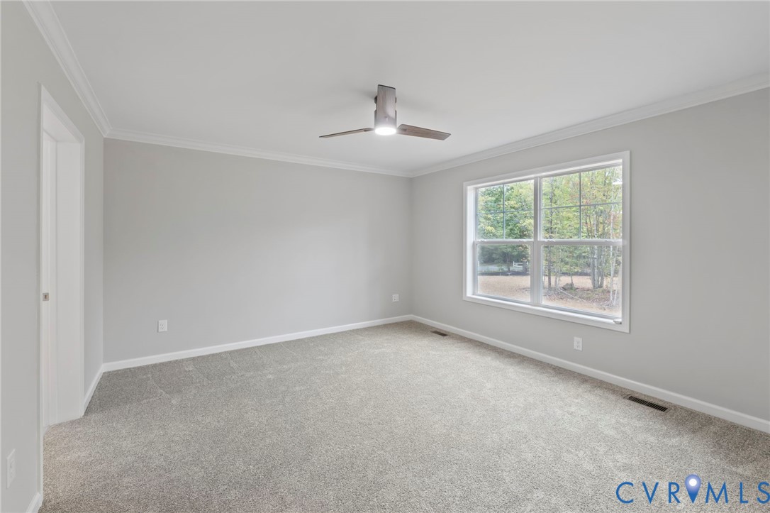 46 Union Church Road Palmyra, VA 22963 - Photo 21 of 50 Unfurnished room with ornamental molding, carpet,