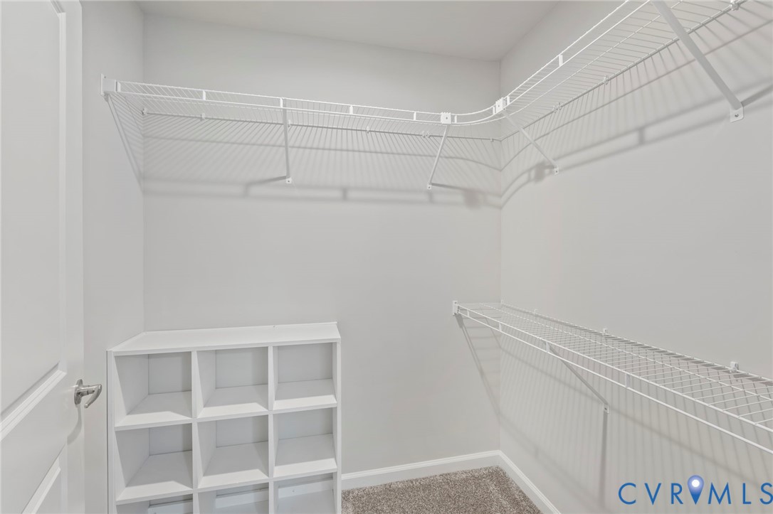 46 Union Church Road Palmyra, VA 22963 - Photo 26 of 50 Walk in closet featuring light carpet