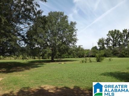 168 Jay Street Cleveland, AL 35049 - Photo 9 of 46