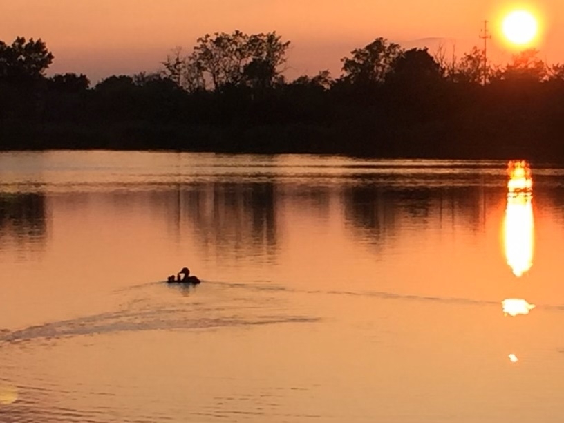 21170 Sage Brush Lane Mokena, IL 60448 - Photo 59 of 66