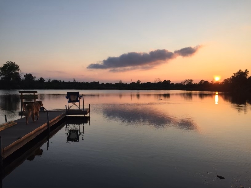 21170 Sage Brush Lane Mokena, IL 60448 - Photo 60 of 66