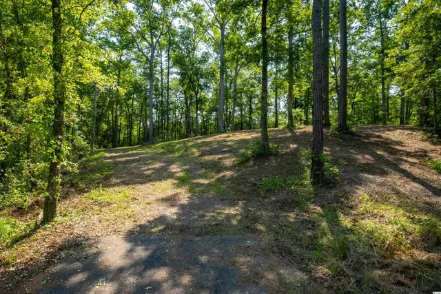 $196,900 | Tbd Francis Marion Drive, Georgetown, SC 29440