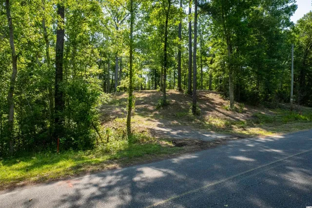 $196,900 | Tbd Francis Marion Drive, Georgetown, SC 29440