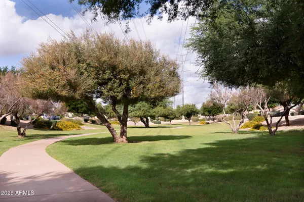 a view of yard with green space and trees