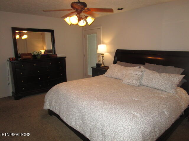 298 Cherokee Cove Rutledge, TN 37861 - Photo 13 of 32 IMG_4395