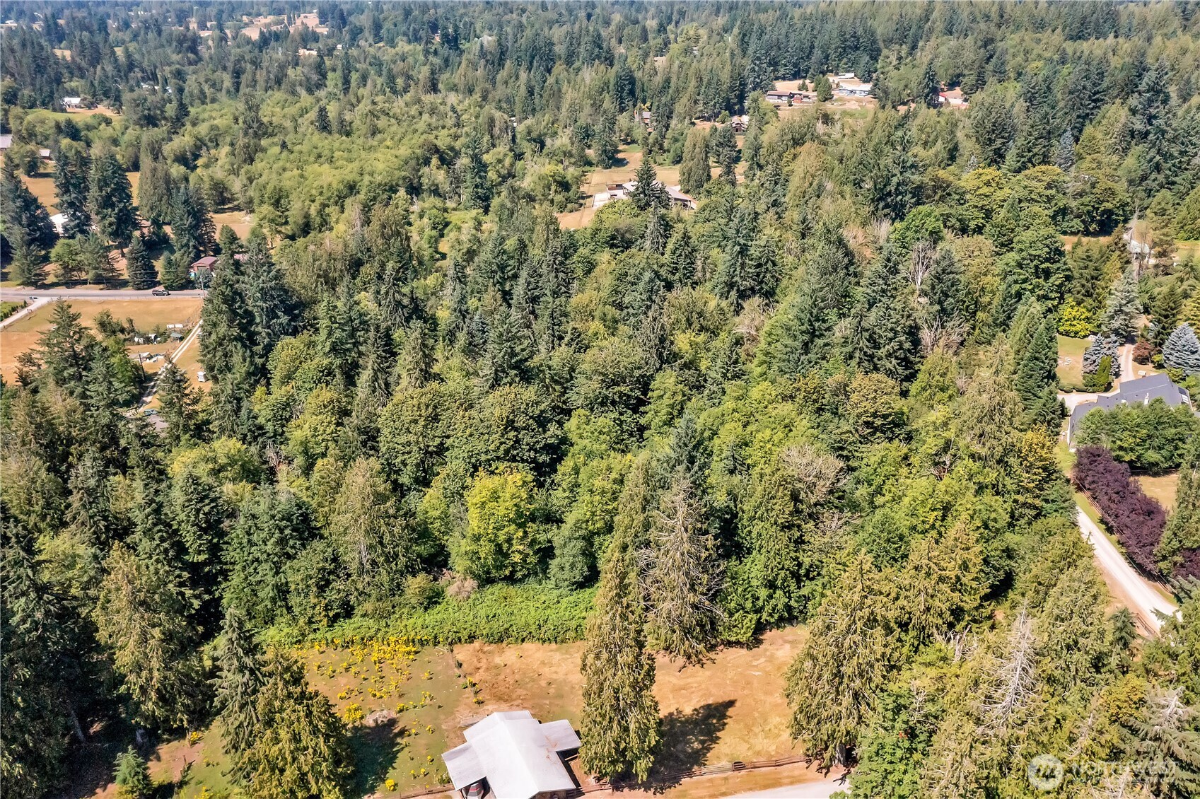 28215 Southeast 216th Street Maple Valley, WA 98038 - Photo 16 of 21 a view of a bunch of trees and bushes