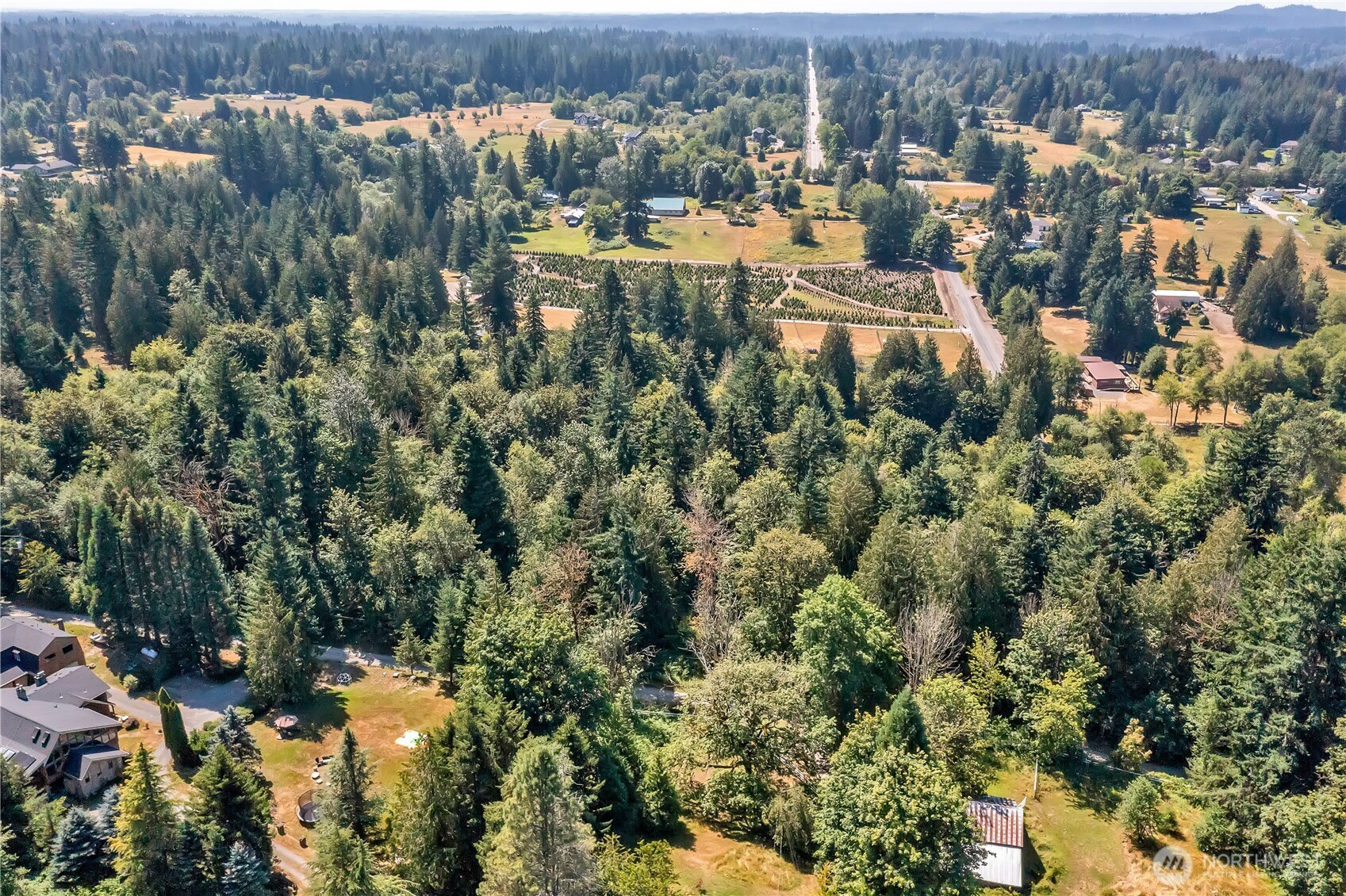 28215 Southeast 216th Street Maple Valley, WA 98038 - Photo 21 of 21 an aerial view of multiple house
