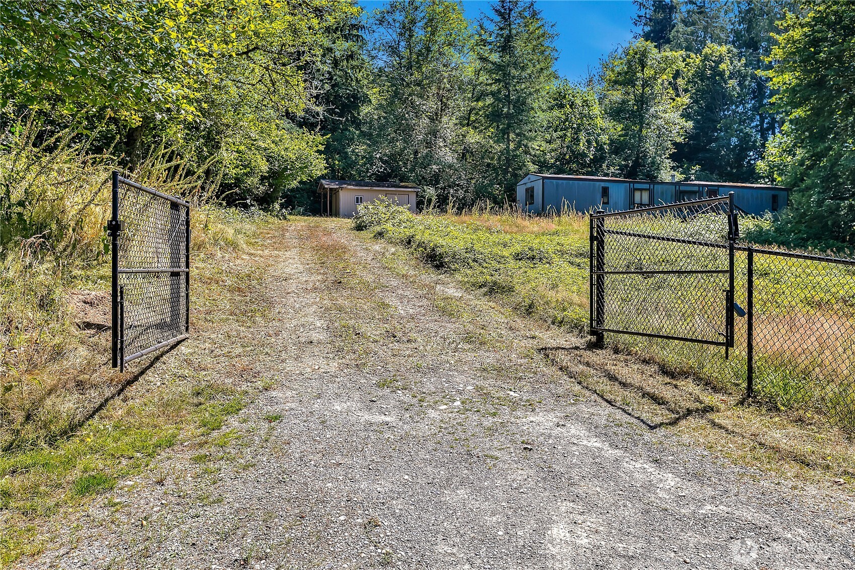 28215 Southeast 216th Street Maple Valley, WA 98038 - Photo 6 of 21 a view of backyard with trees