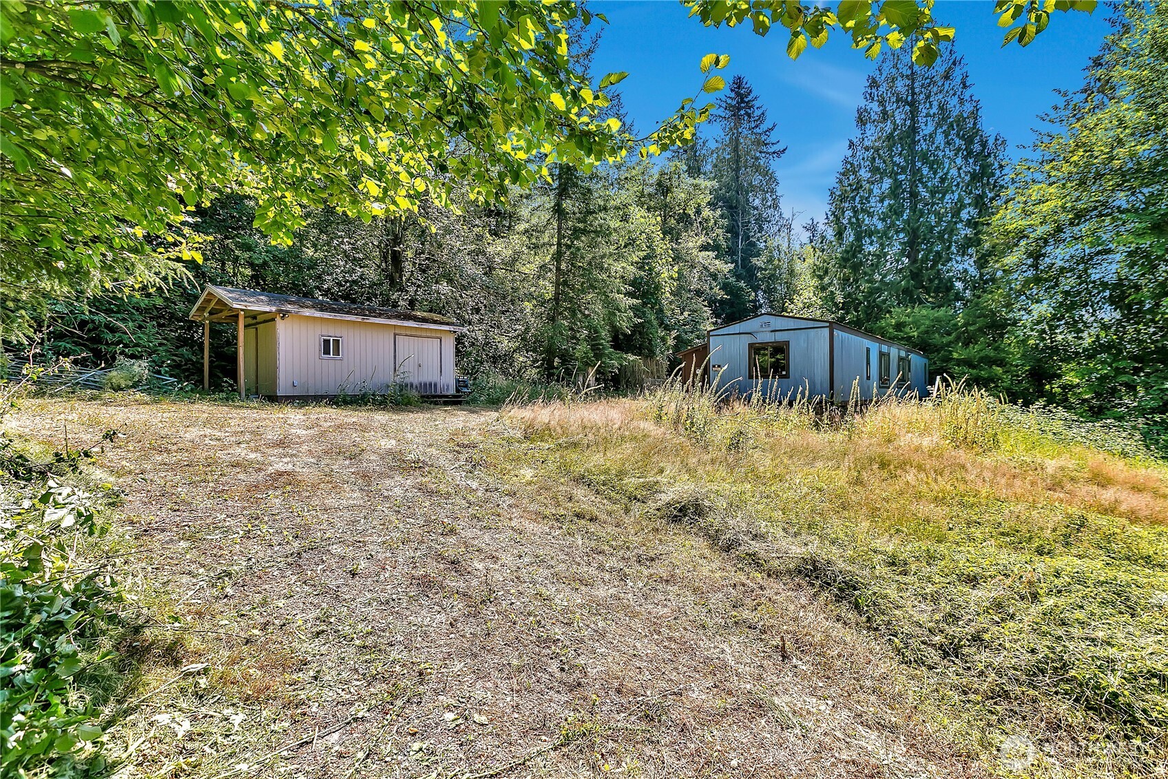 28215 Southeast 216th Street Maple Valley, WA 98038 - Photo 7 of 21 a backyard of a house with large trees and plants