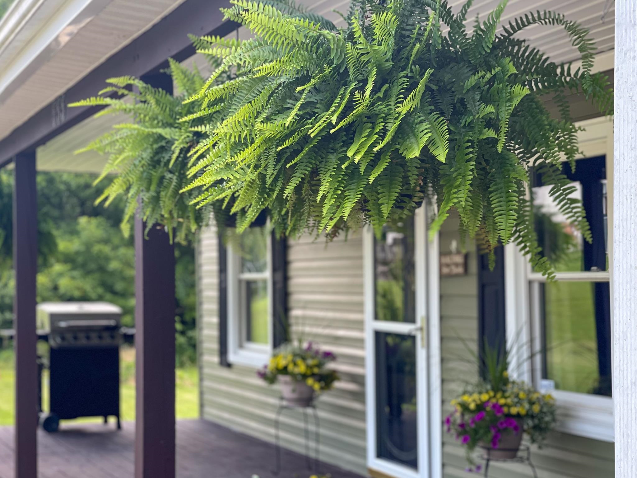 555 Dabneys Road Raphine, VA 24472 - Photo 2 of 30 a flower plants in front of a building
