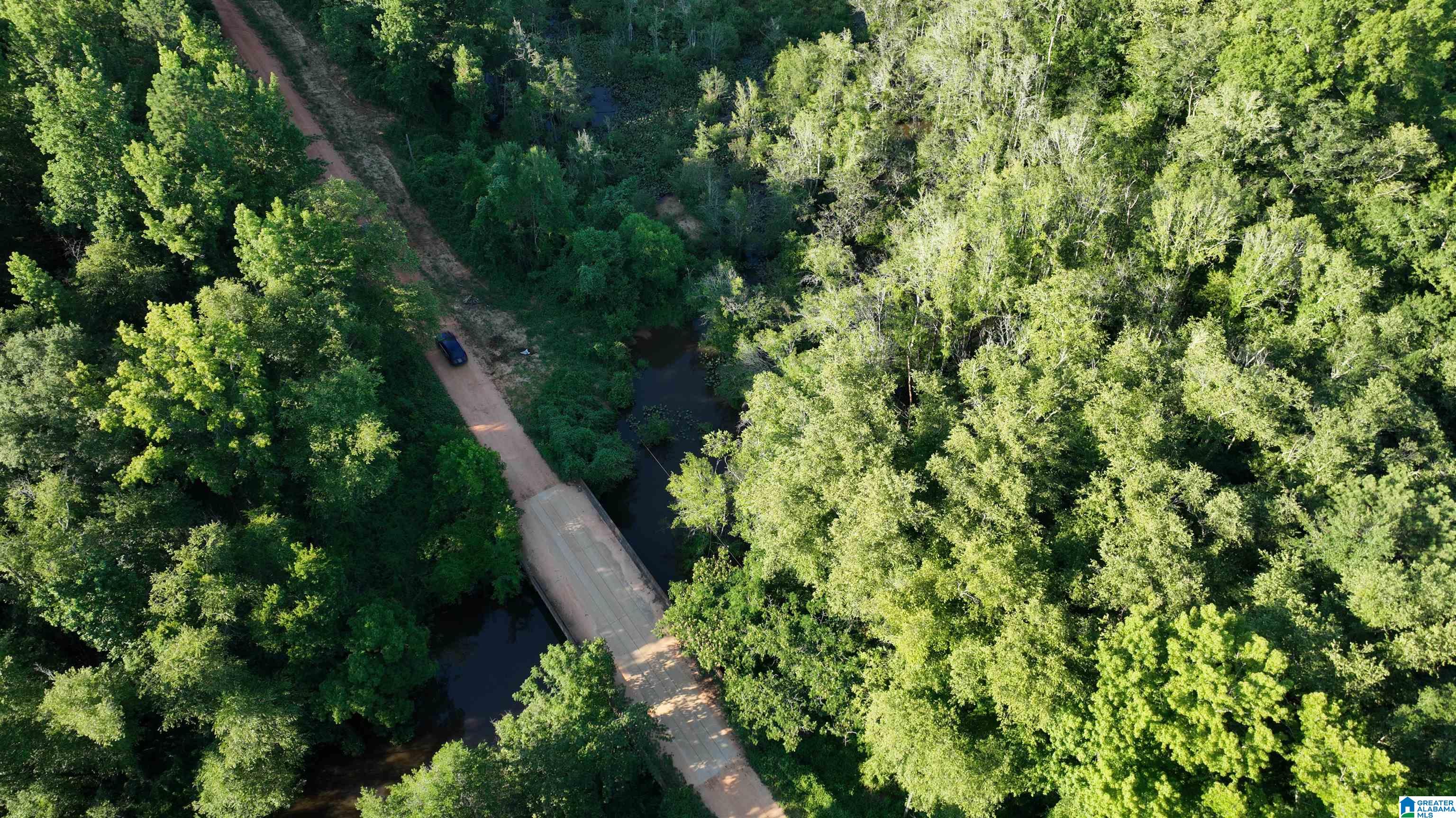 0 County Road 81, Unit 1 Tuskegee, AL 36083 - Photo 4 of 13