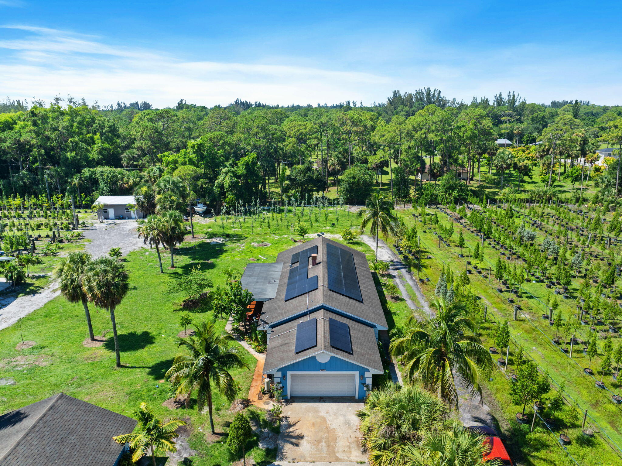 a view of a garden with an trees