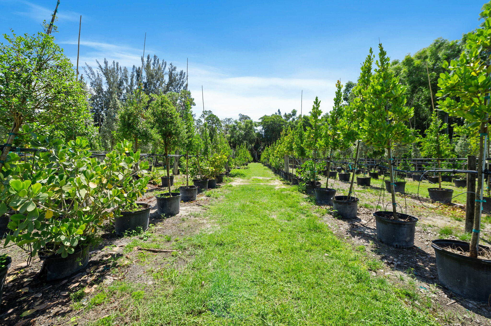 2587 E Road Loxahatchee Groves, FL 33470 - Photo 35 of 46 a view of a garden with an outdoor space