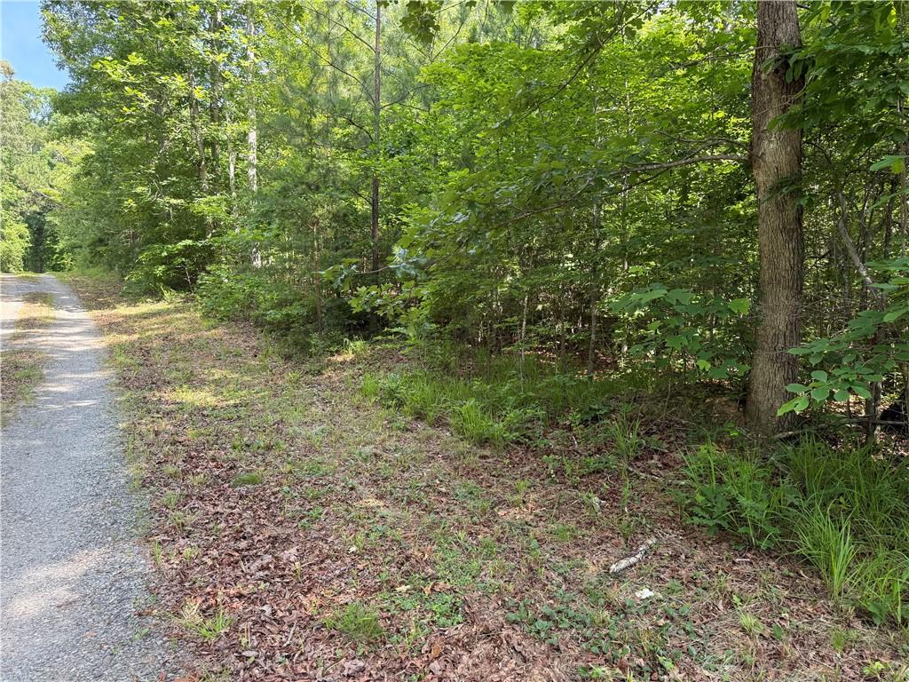 20-ac Ellijay Road Talking Rock, GA 30175 - Photo 6 of 9