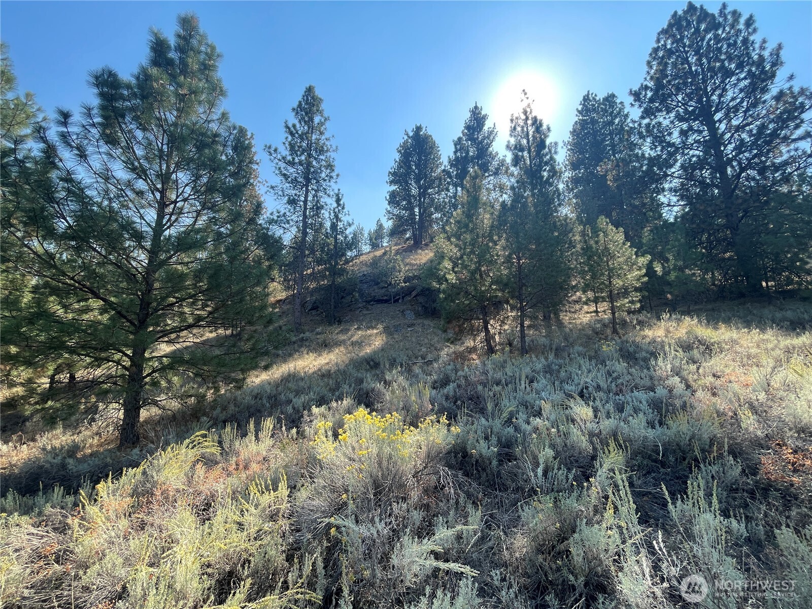 -tbd Reevas Basin Road Tonasket, WA 98855 - Photo 27 of 38