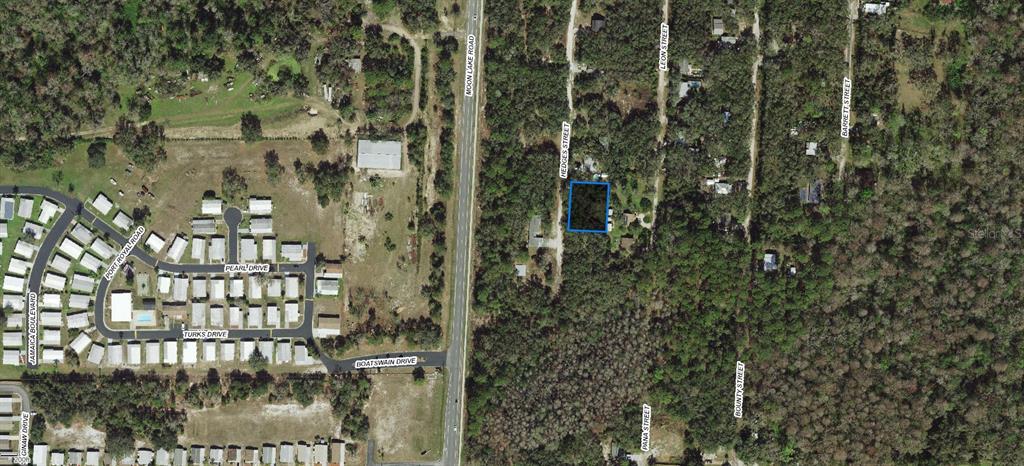 17 Hedges Street New Port Richey, FL 34654 - Photo 2 of 3