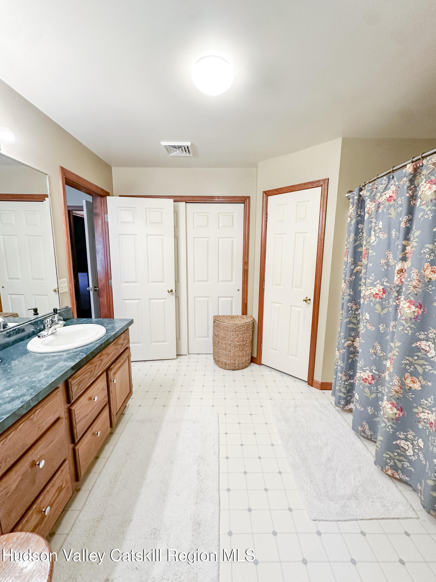 596 Joseph Chadderdon Road Acra, NY 12405 - Photo 19 of 55 a spacious bathroom with a granite countertop sink a toilet a mirror and shower
