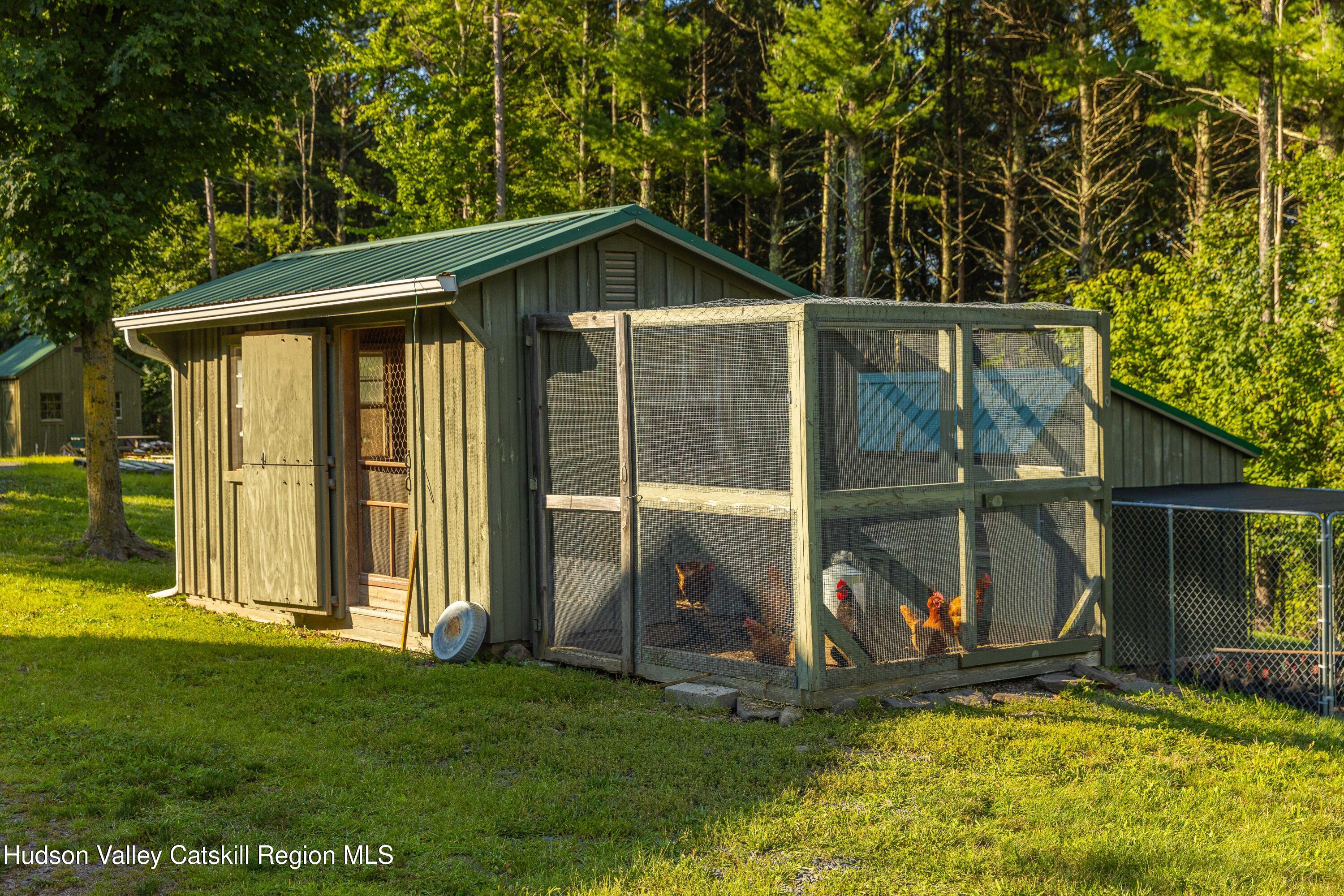 596 Joseph Chadderdon Road Acra, NY 12405 - Photo 31 of 55 a view of outdoor space yard and patio
