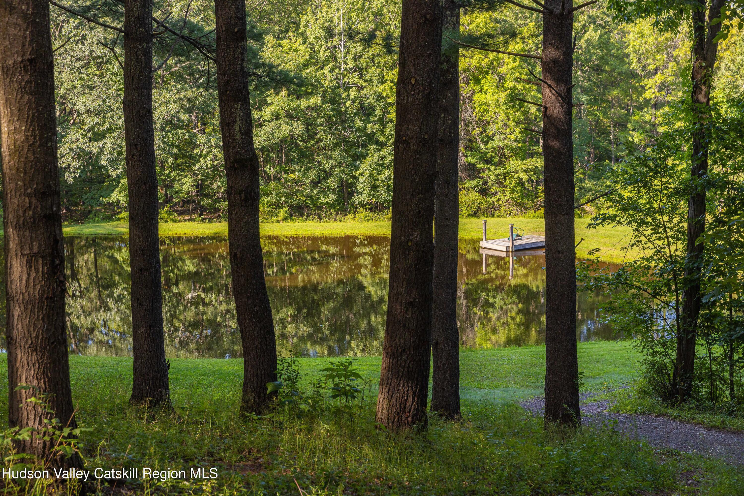 596 Joseph Chadderdon Road Acra, NY 12405 - Photo 41 of 55 a view of outdoor space and garden