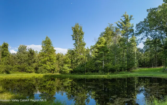 $799,000 | 596 Joseph Chadderdon Road, Acra, NY 12405