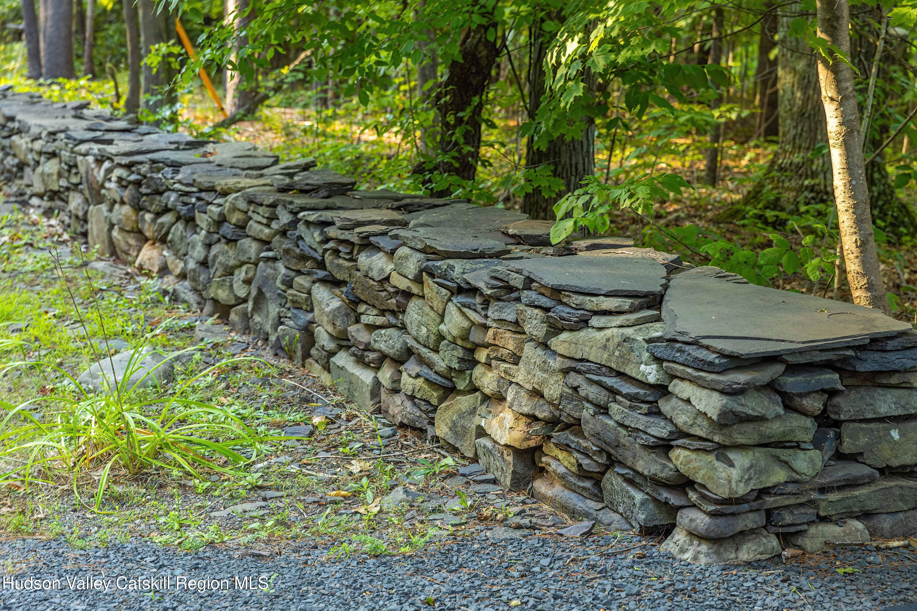 596 Joseph Chadderdon Road Acra, NY 12405 - Photo 45 of 55 a backyard of a house with lots of green space