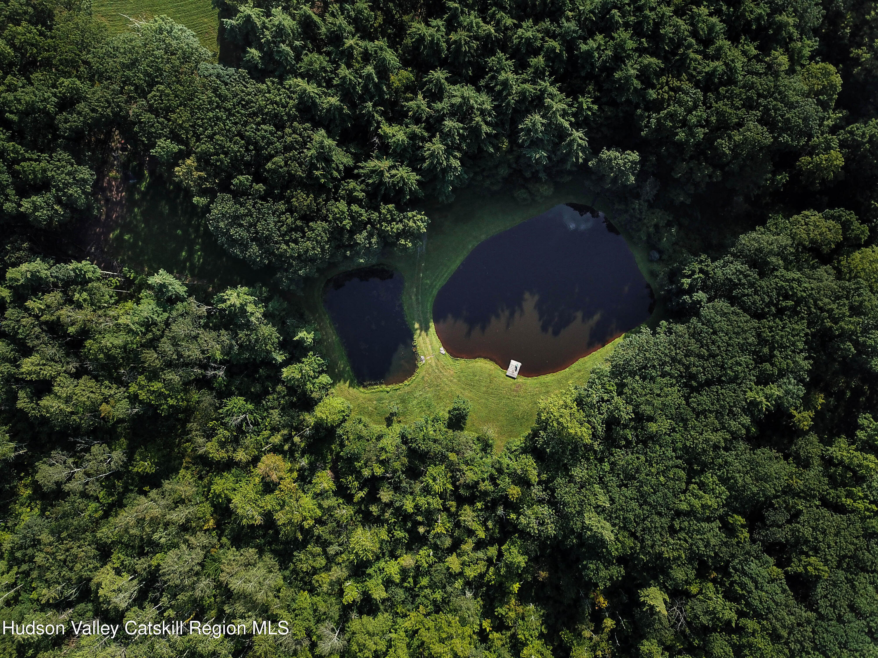 596 Joseph Chadderdon Road Acra, NY 12405 - Photo 46 of 55 a view of a lush green forest