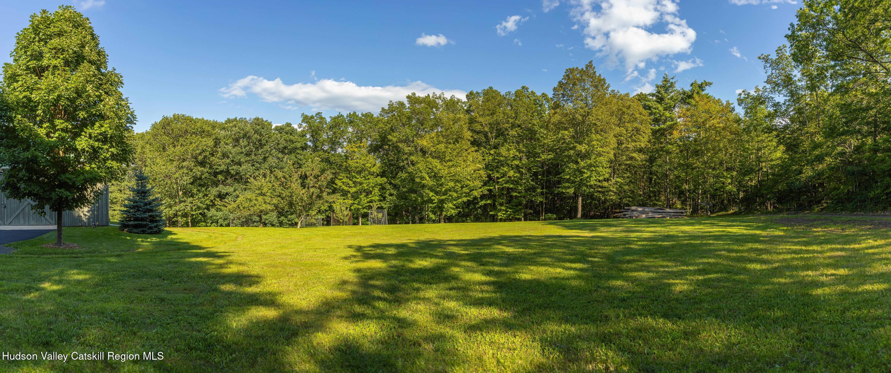596 Joseph Chadderdon Road Acra, NY 12405 - Photo 47 of 55 a view of a grassy field with trees