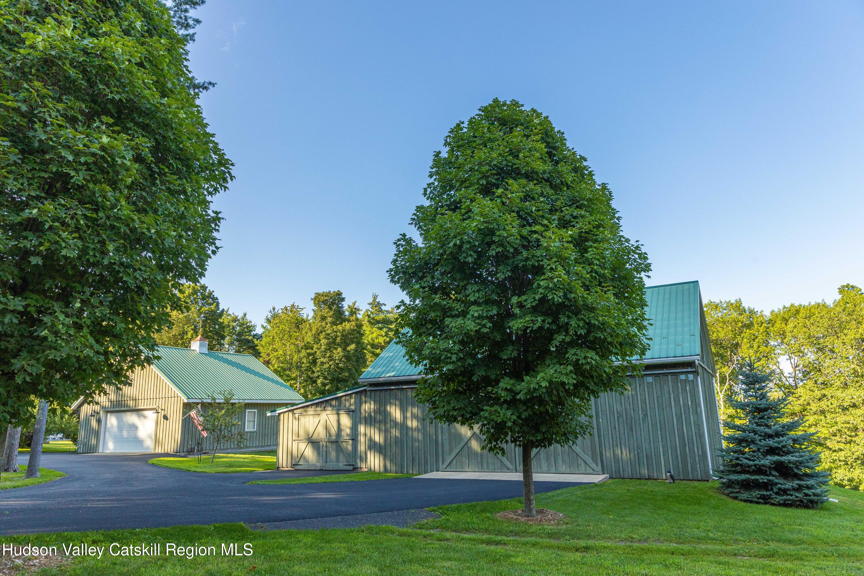596 Joseph Chadderdon Road Acra, NY 12405 - Photo 48 of 55 a view of backyard with green space