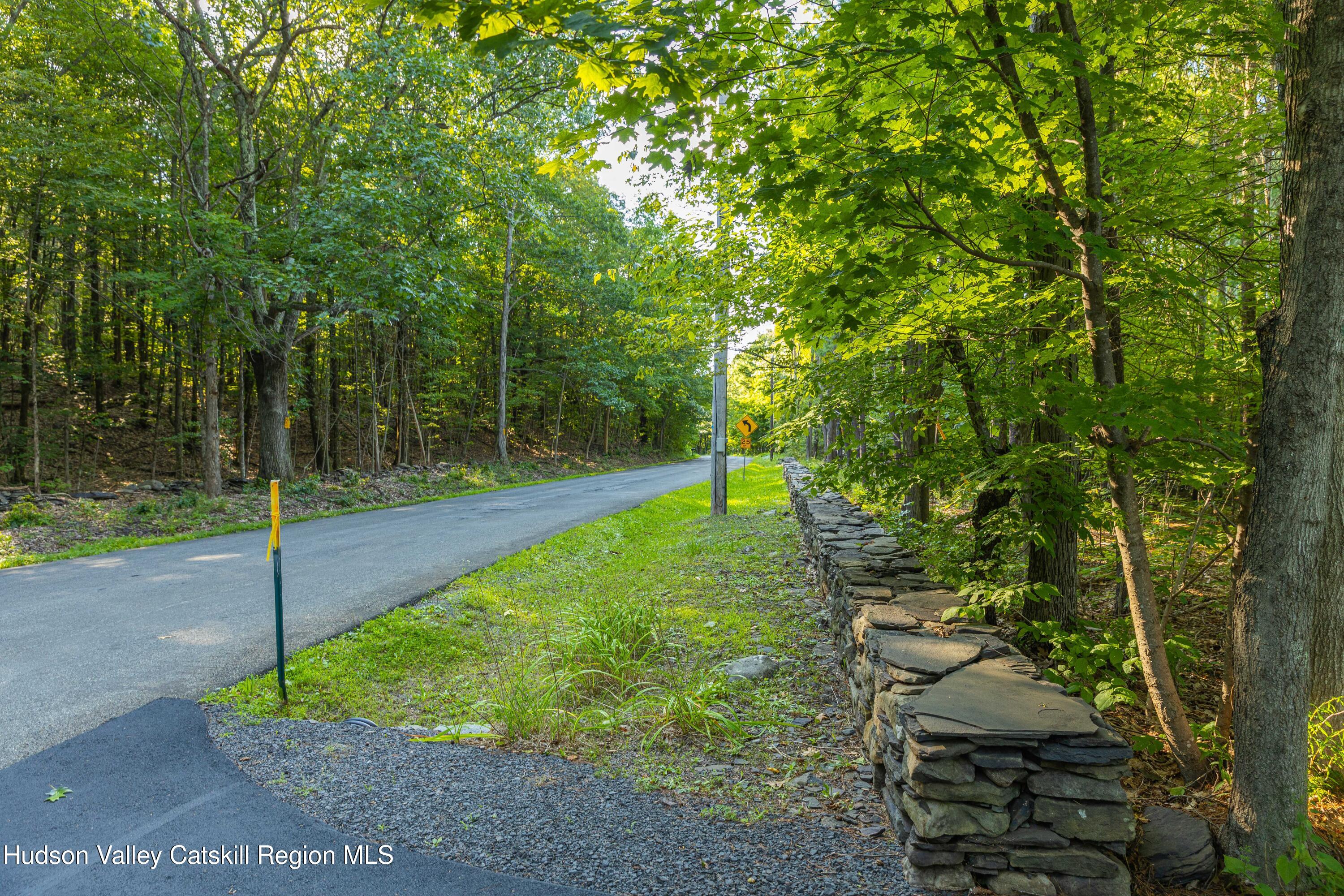 596 Joseph Chadderdon Road Acra, NY 12405 - Photo 54 of 55 a view of a backyard