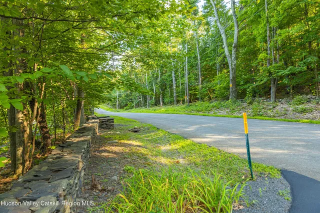 $875,000 | 596 Joseph Chadderdon Road, Acra, NY 12405