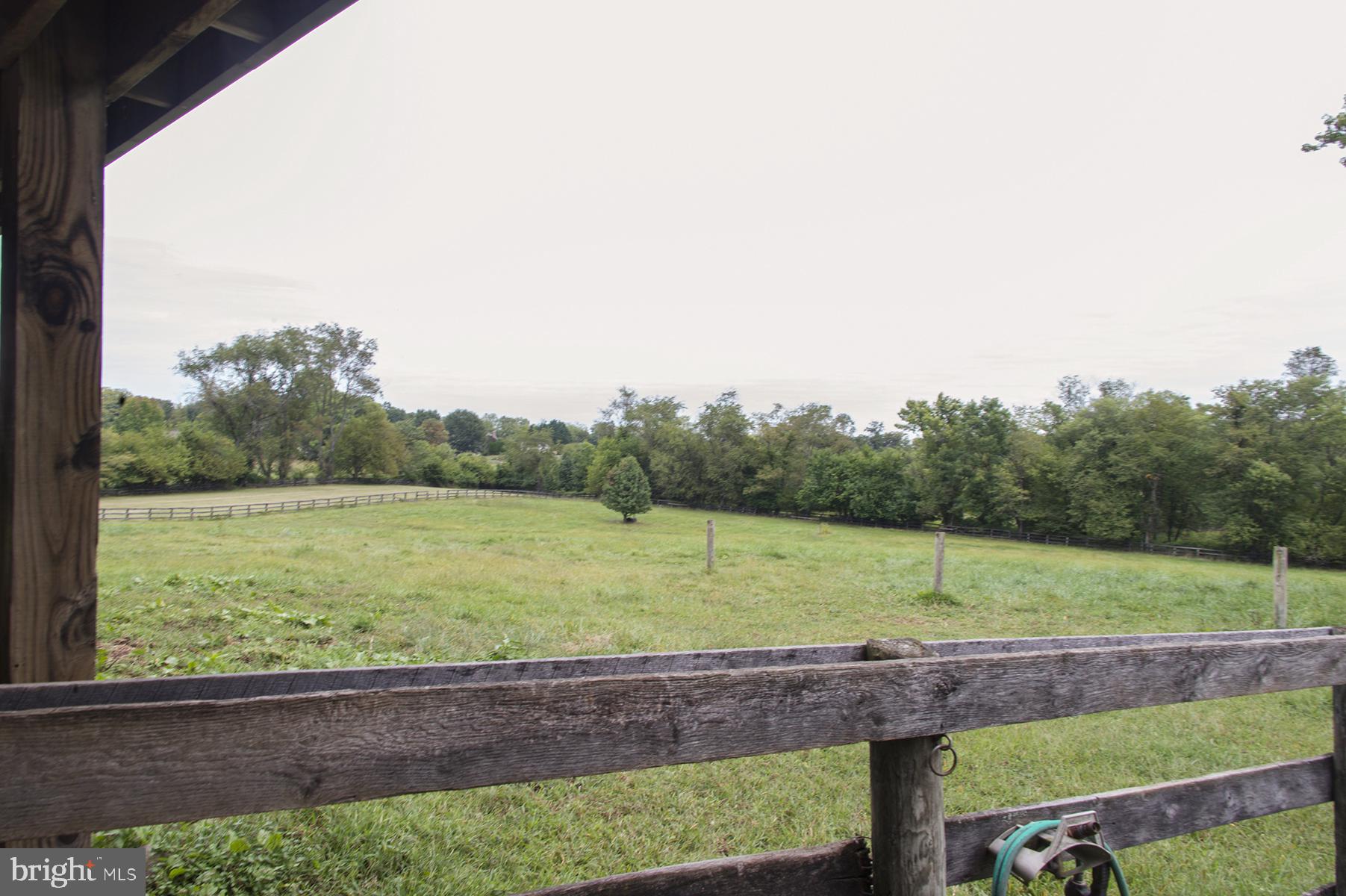 18780 Lincoln Road Hamilton, VA 20158 - Photo 25 of 80 Large paddocks