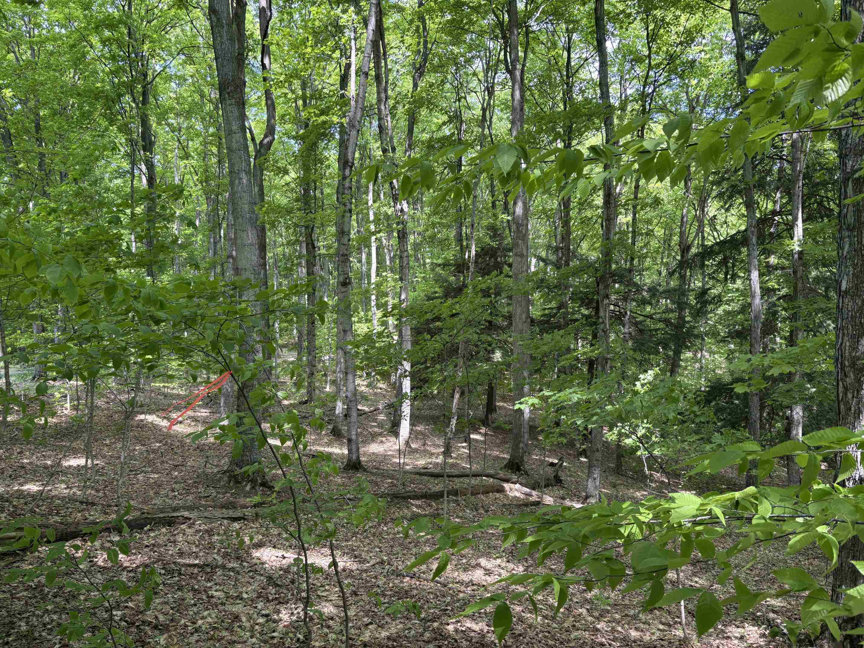 13631 Beaver Pond Road Empire, MI 49630 - Photo 11 of 55