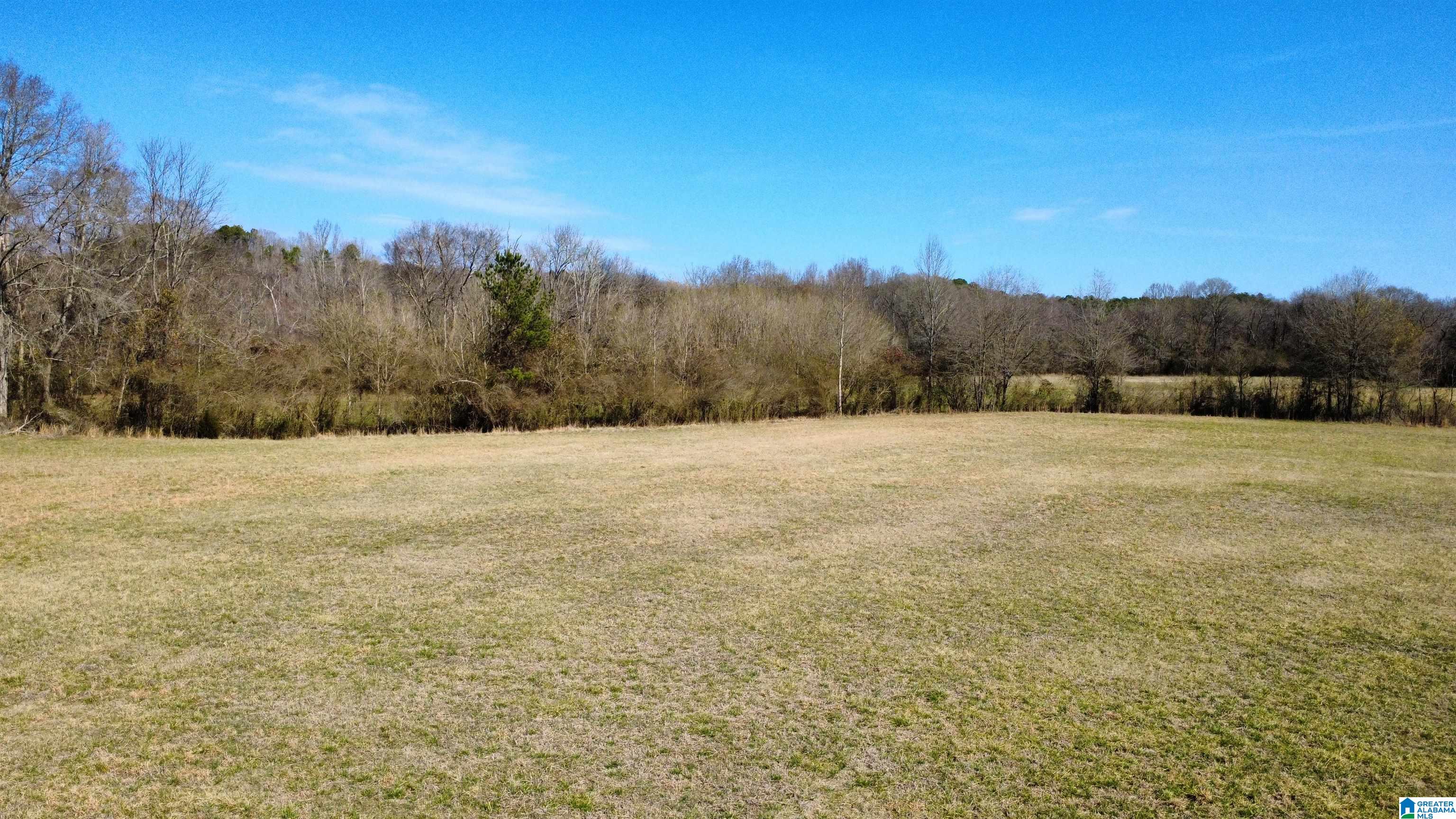 1150 River Road Heflin, AL 36264 - Photo 50 of 56 Gallery Image 50