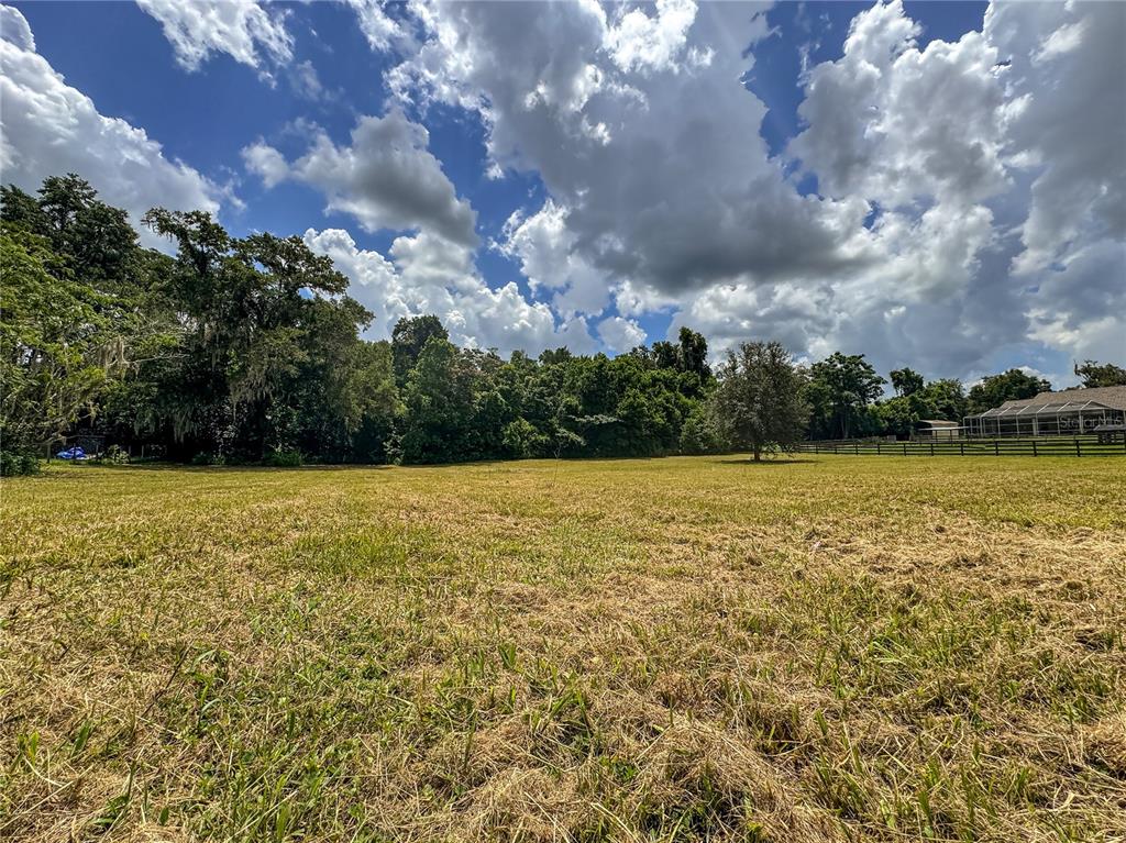 Jacobson Road Brooksville, FL 34601 - Photo 6 of 22