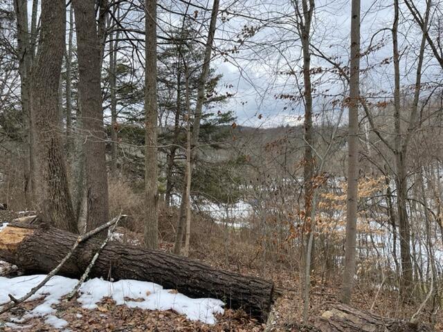 31963 Huston Road Logan, OH 43138 - Photo 8 of 49 hillside