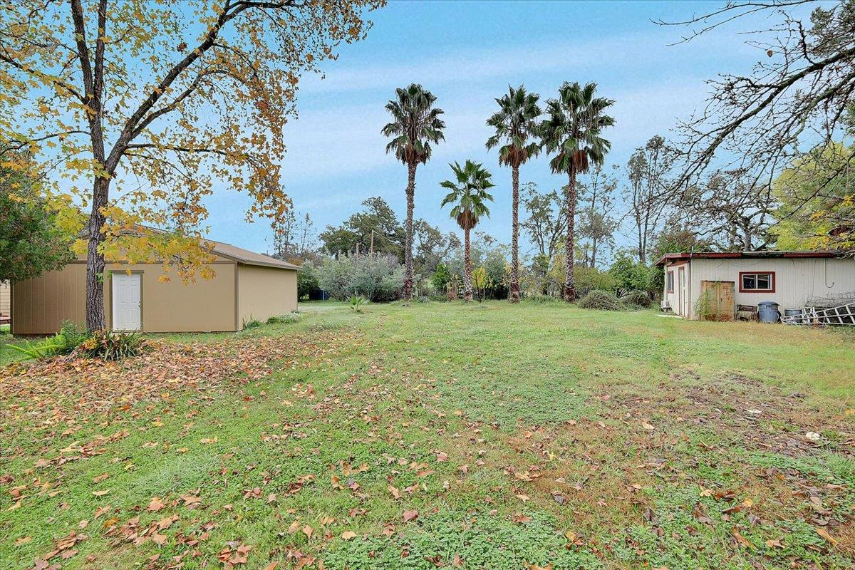 4667 Fruitland Road Marysville, CA 95901 - Photo 20 of 42 a backyard of a house with lots of green space