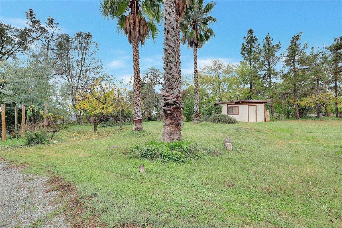 4667 Fruitland Road Marysville, CA 95901 - Photo 21 of 42 a view of a house with a yard