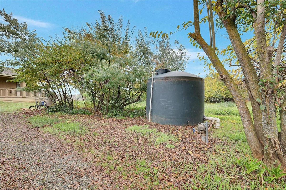 4667 Fruitland Road Marysville, CA 95901 - Photo 23 of 42 a view of a yard with plants and a large tree