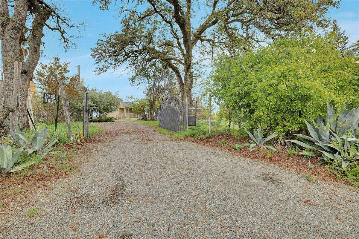 4667 Fruitland Road Marysville, CA 95901 - Photo 24 of 42 a view of a out door space area