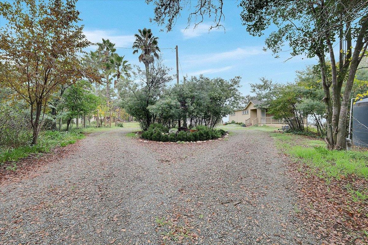 4667 Fruitland Road Marysville, CA 95901 - Photo 25 of 42 a view of a road with plants and trees in the background