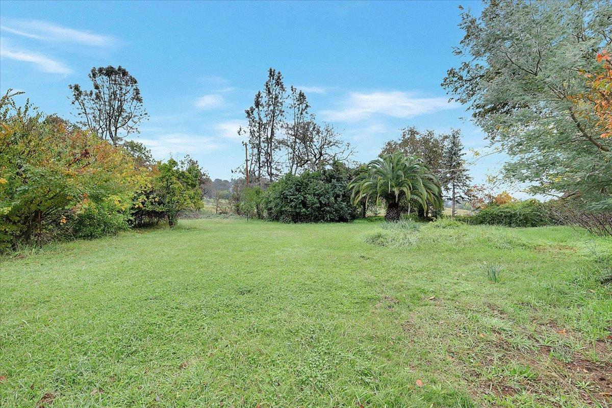 4667 Fruitland Road Marysville, CA 95901 - Photo 26 of 42 a view of a green field